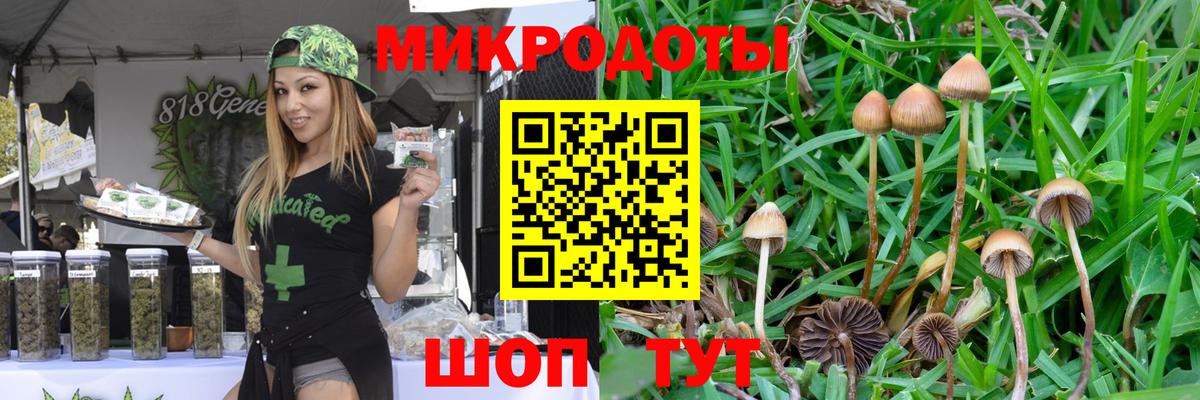 Благодарный  магазин    Галлюциногенные грибы прущие грибы  Вход с VPN  Псилоцибиновые грибы Cubensis 